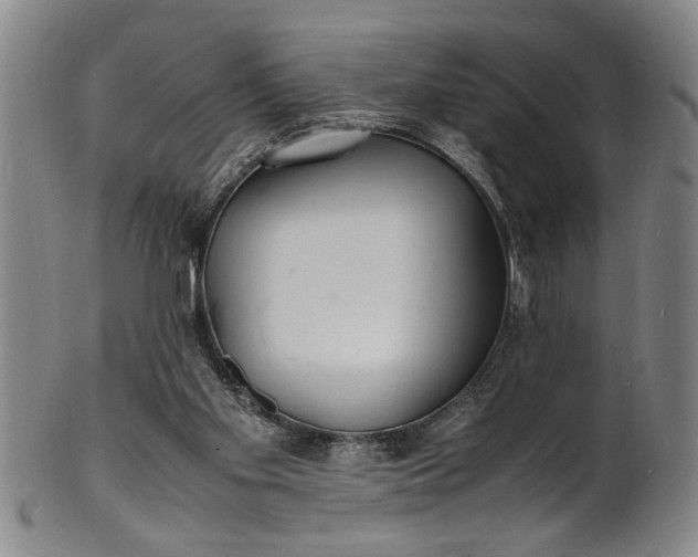 X0000101480109200807211408