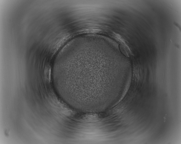 X0000101480110200807211408