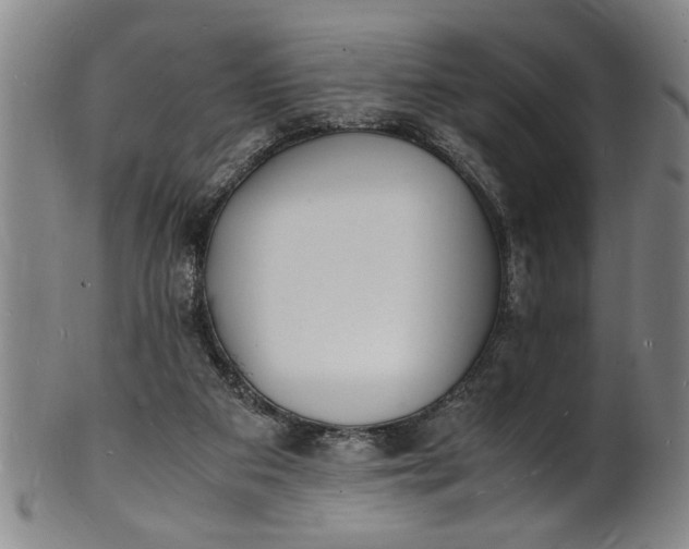 X0000101480113200807211408