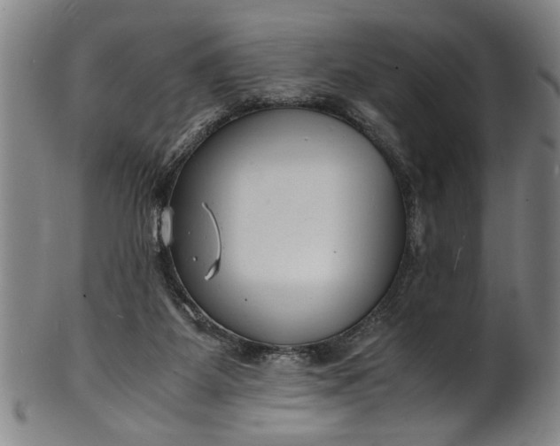 X0000101480115200807211408