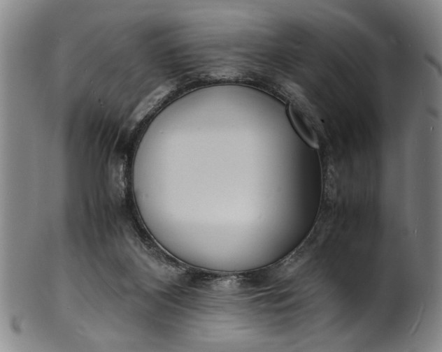 X0000101480116200807211408