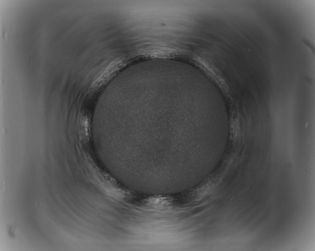 X0000101480117200807211408