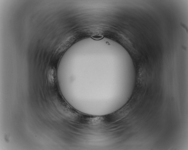 X0000101480122200807211408