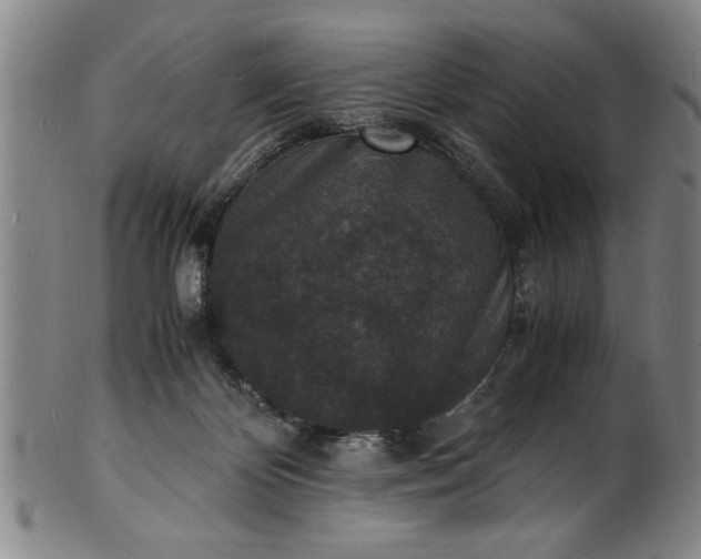 X0000101480124200807211408