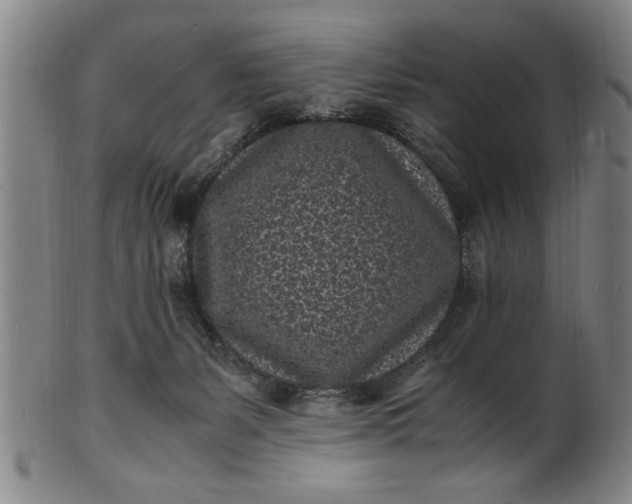 X0000101480127200807211408