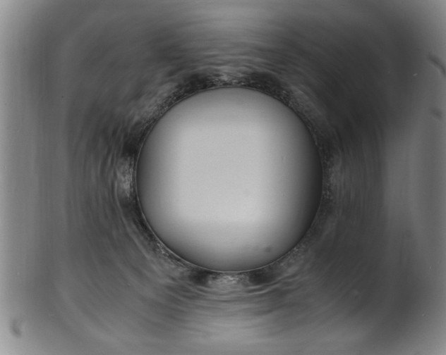 X0000101480129200807211408