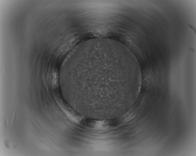 X0000101480130200807211408