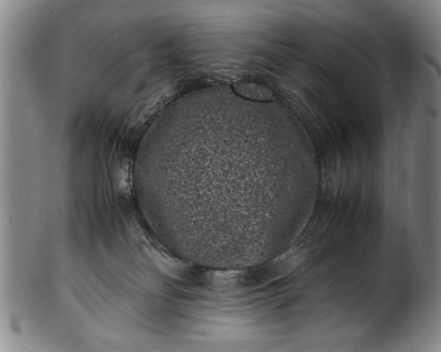 X0000101480134200807211408