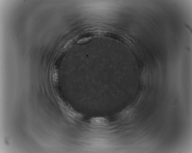 X0000101480137200807211408