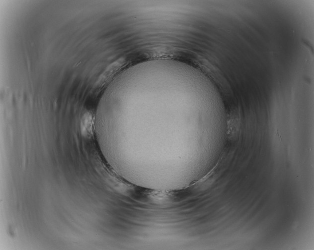 X0000101480142200807211408