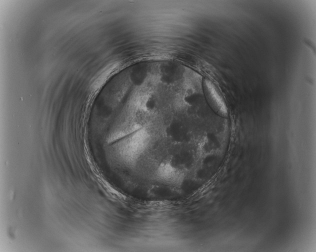 X0000101480145200807211407