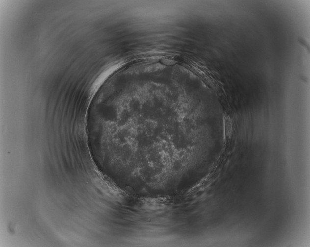 X0000101480147200807211407