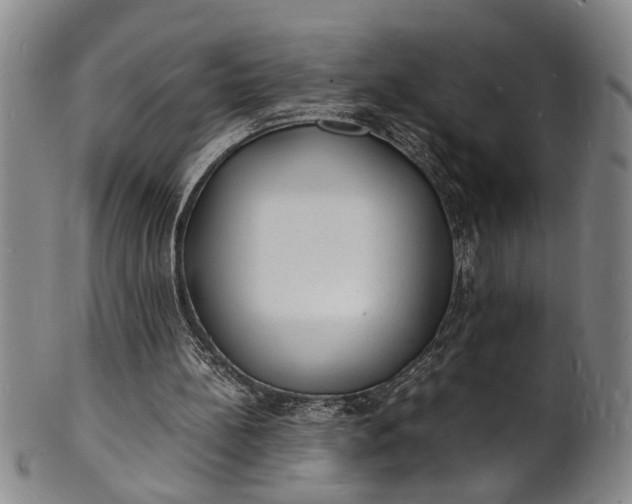 X0000101480148200807211407