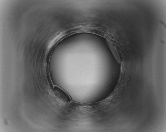 X0000101480150200807211407