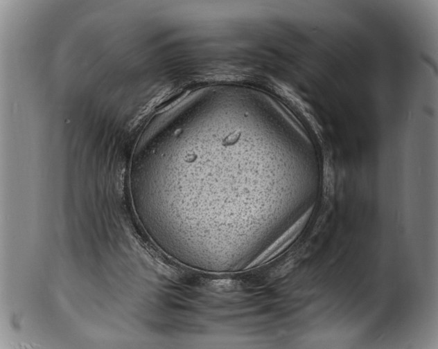 X0000101480153200807211407