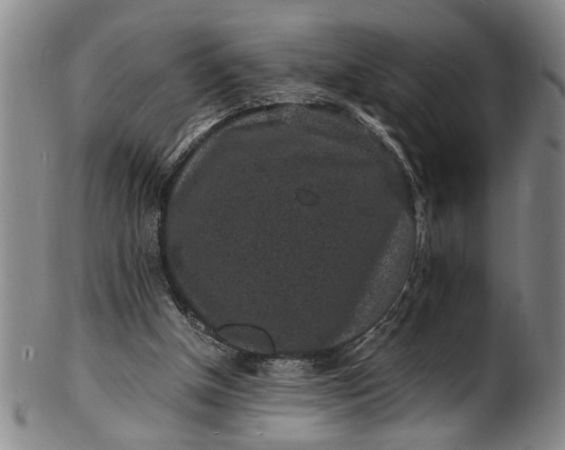 X0000101480154200807211407