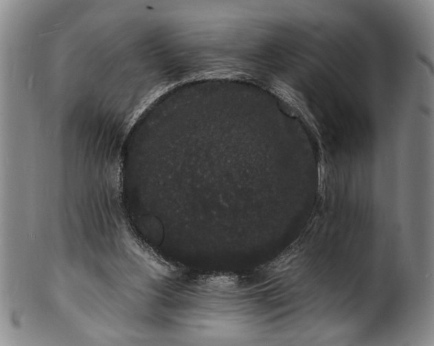 X0000101480156200807211407