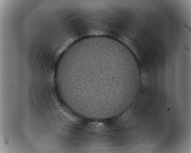 X0000101480159200807211407