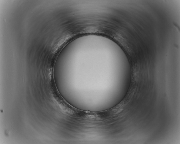 X0000101480160200807211407