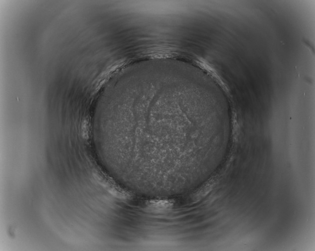 X0000101480161200807211407