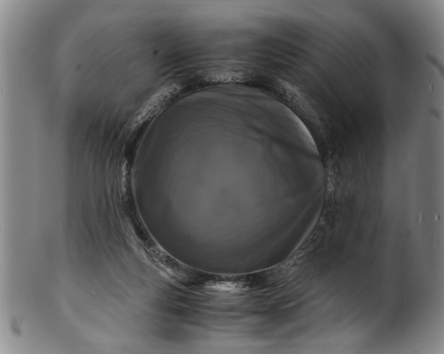 X0000101480163200807211407