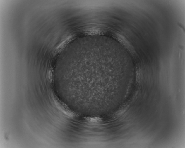 X0000101480165200807211407