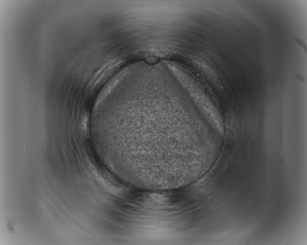 X0000101480166200807211407