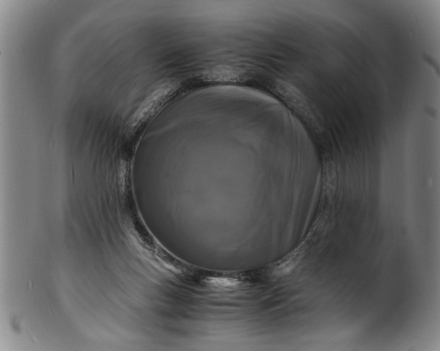 X0000101480167200807211407