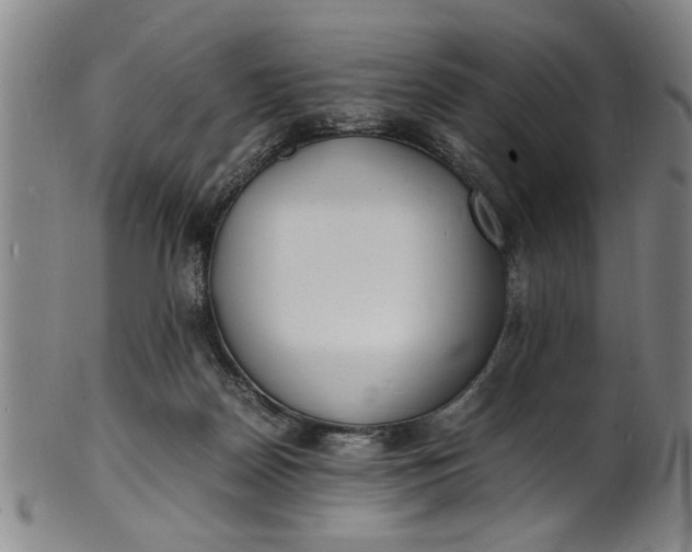 X0000101480170200807211407