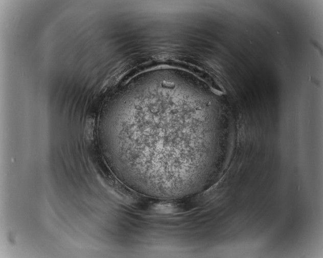 X0000101480171200807211407