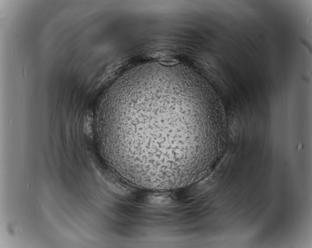 X0000101480175200807211407