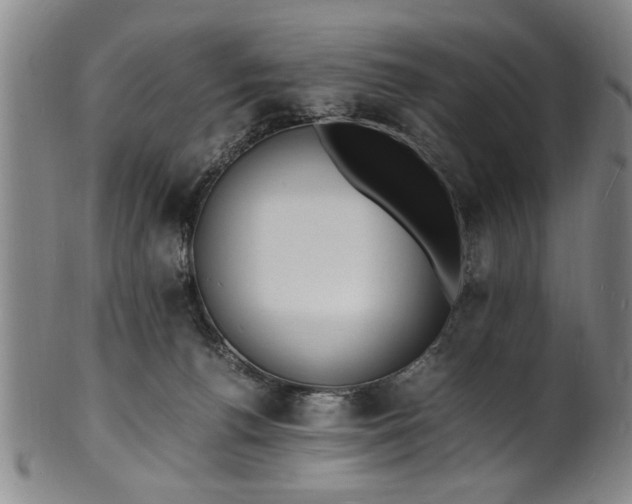 X0000101480176200807211407