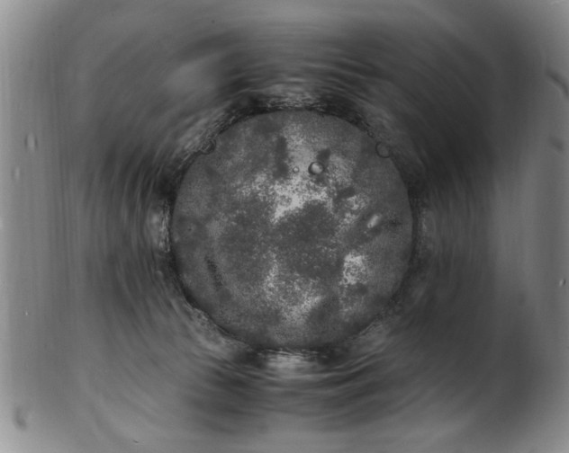 X0000101480177200807211407