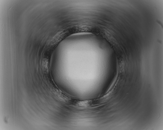 X0000101480178200807211407