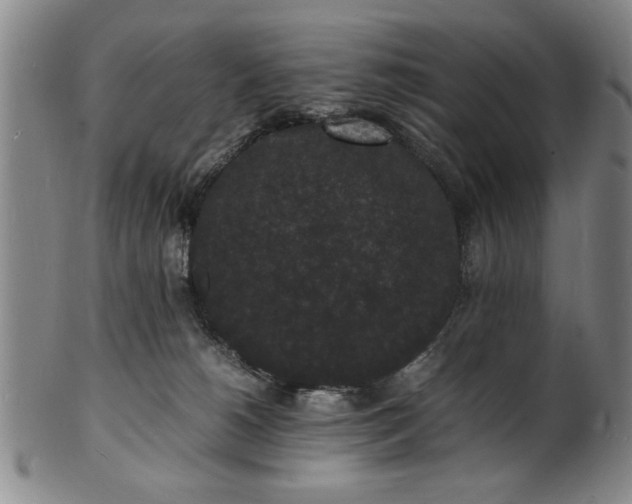 X0000101480180200807211407