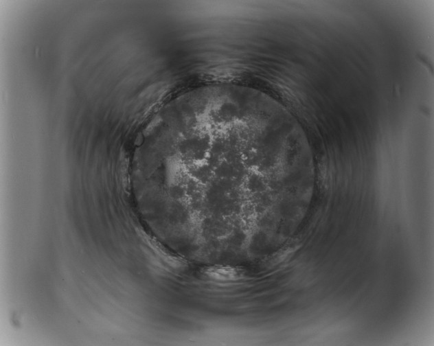 X0000101480181200807211407