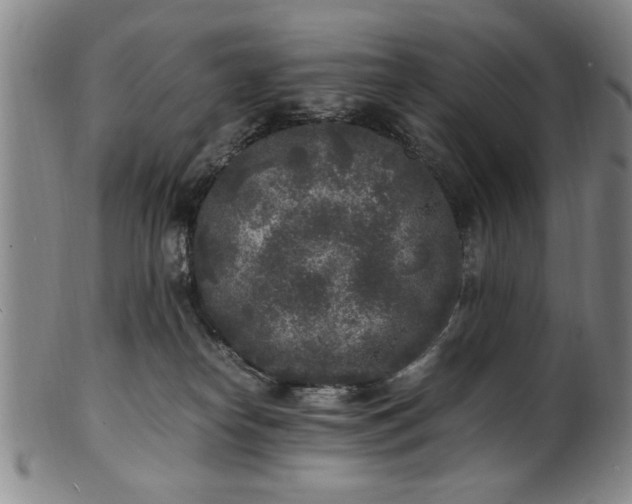 X0000101480182200807211407