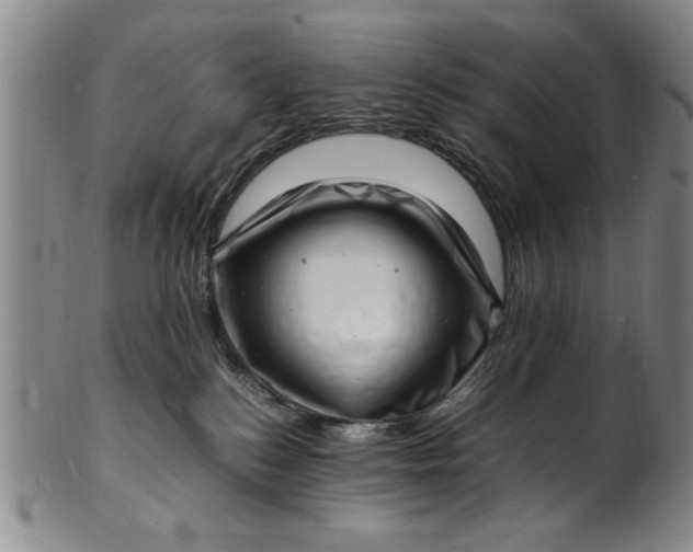 X0000101480184200807211407