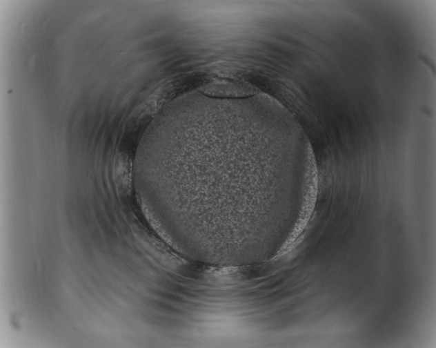 X0000101480186200807211407