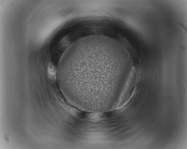 X0000101480191200807211407