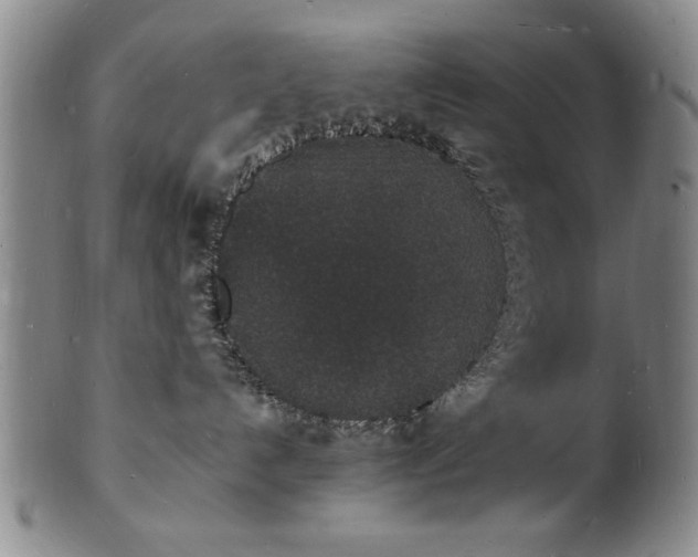 X0000101480192200807211408