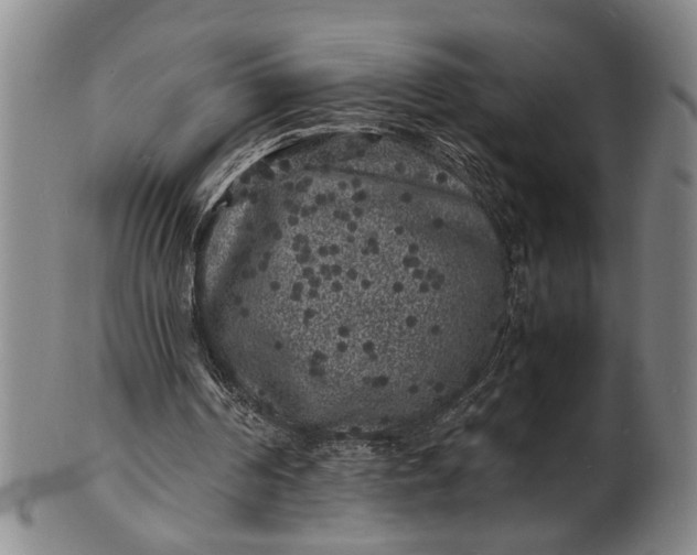 X0000101480194200807211407