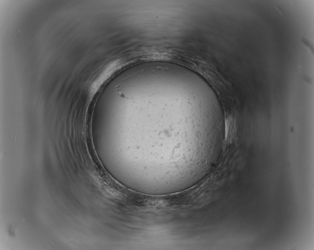 X0000101480195200807211407