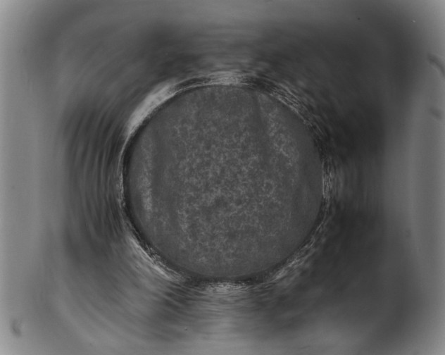 X0000101480198200807211407