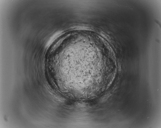 X0000101480199200807211407