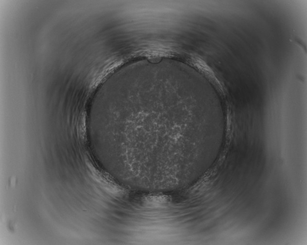 X0000101480202200807211406