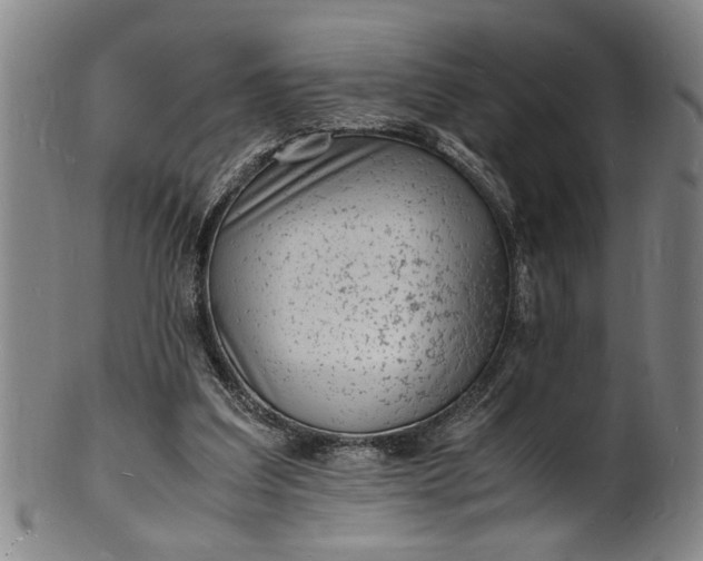 X0000101480203200807211406