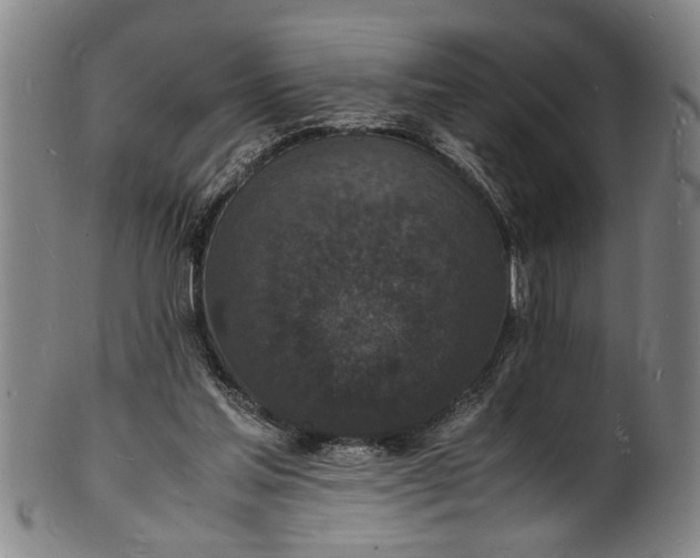 X0000101480205200807211406