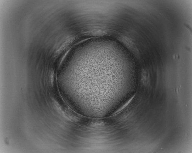 X0000101480206200807211406