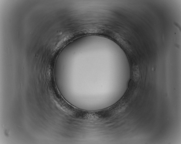 X0000101480207200807211406